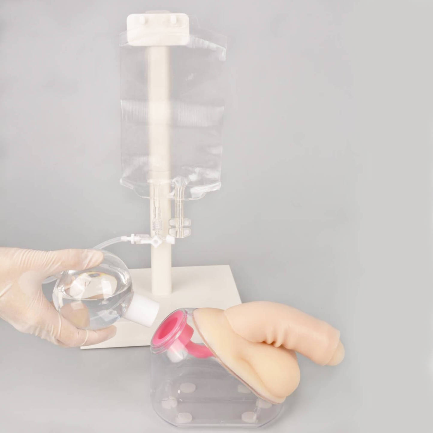 Male Catheterization Simulator - Transparent Design for Realistic Practice