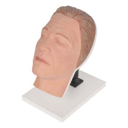 Male Facial Injection Training Head with Adjustable Base
