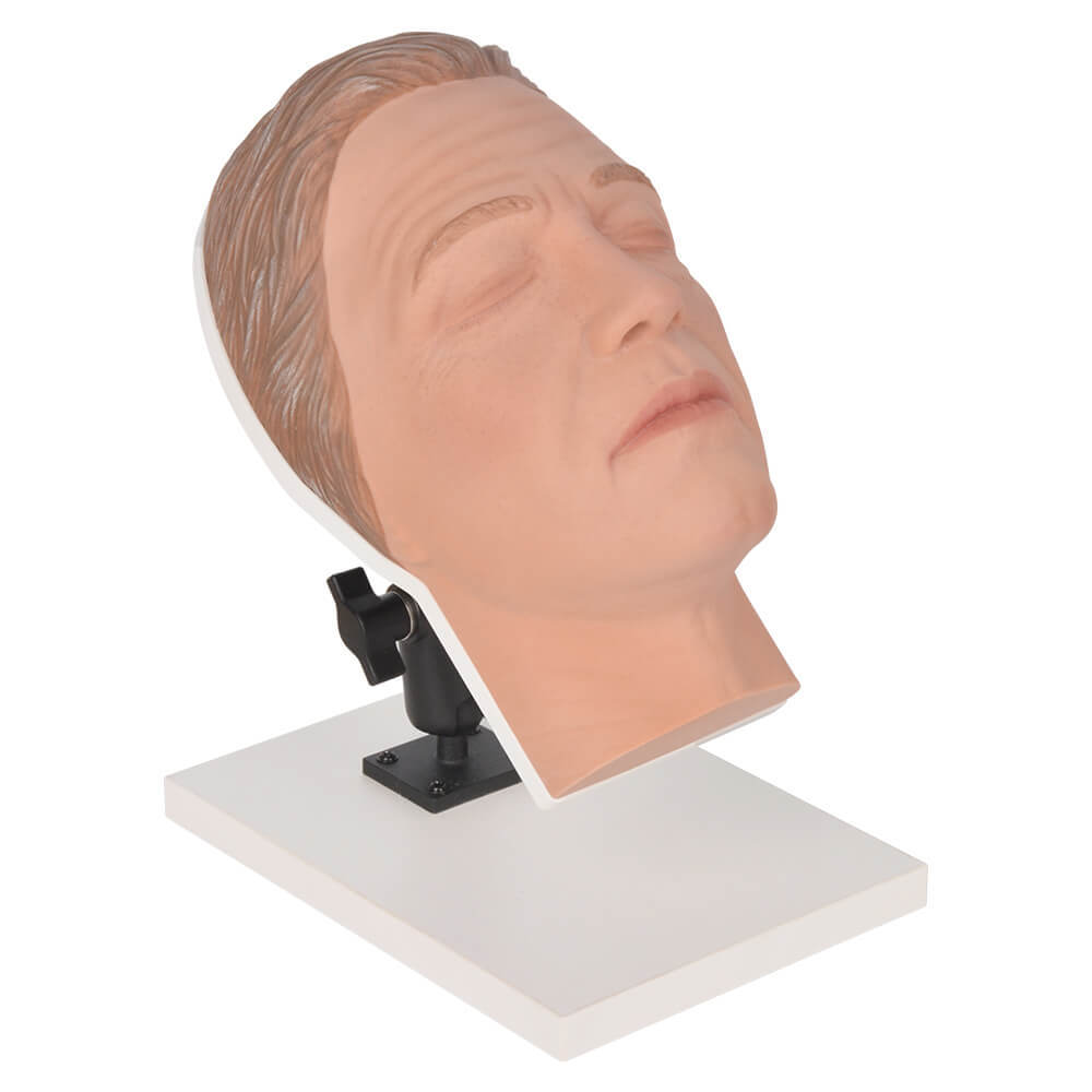 Male Facial Injection Training Head with Adjustable Base
