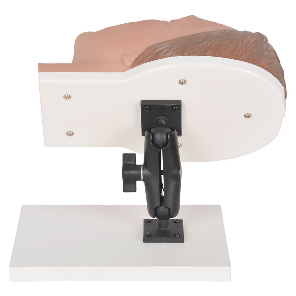 Male Facial Injection Training Head with Adjustable Base