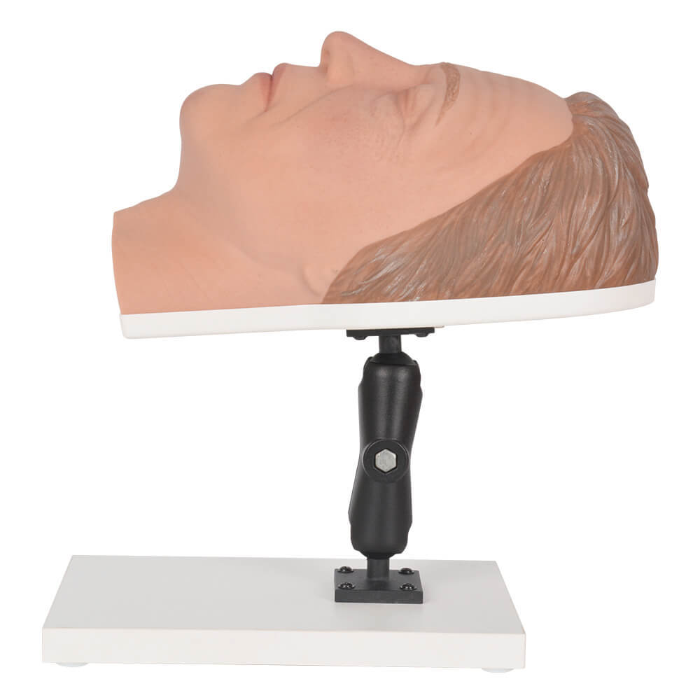 Male Facial Injection Training Head with Adjustable Base