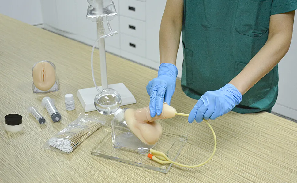 Top 5 Male & Female Catheterization Trainers for Nursing Training