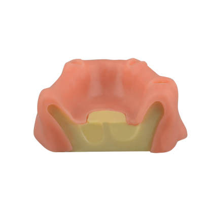 Maxillary Sinus Lift & Implant Practice Model - Type A