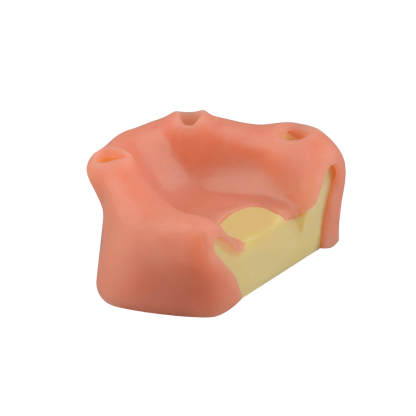 Maxillary Sinus Lift & Implant Practice Model - Type A