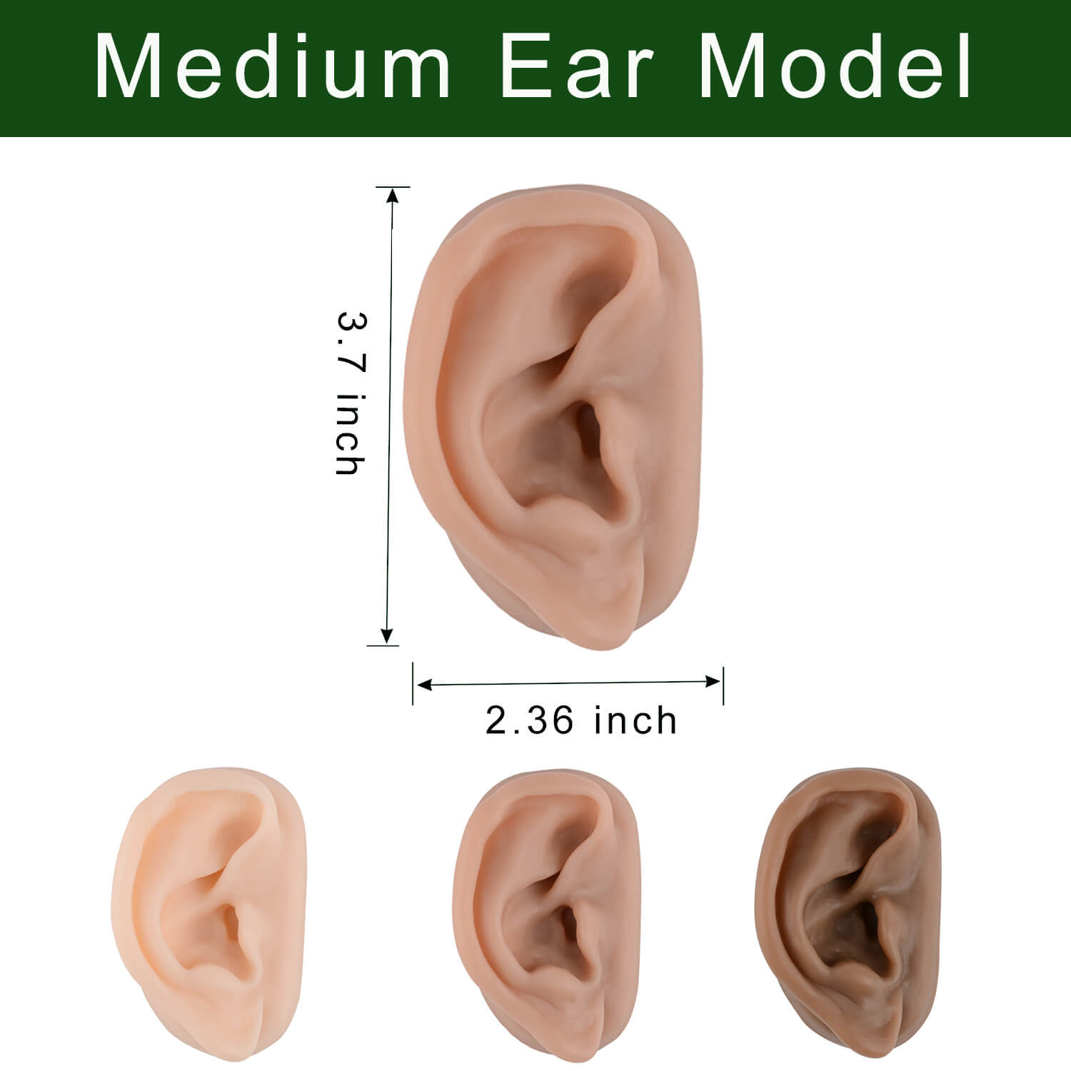 Brown Silicone Acupuncture Ear Training Model
