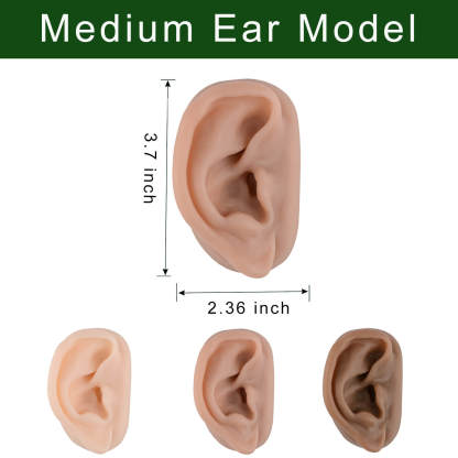 Brown Silicone Acupuncture Ear Training Model