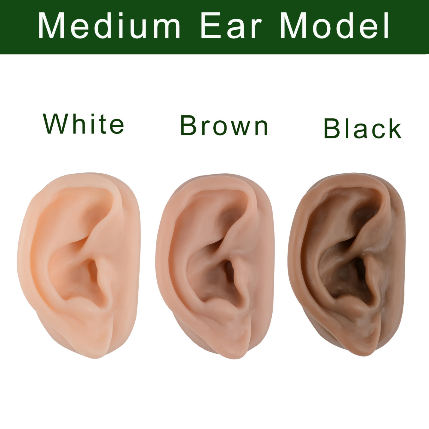 Silicone Acupuncture Ear Model, Enlarged for Auricular Training