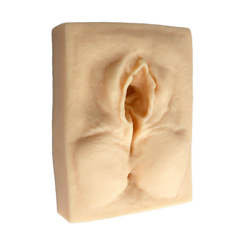 Female Perineal Suture Practice Models, Set of 3