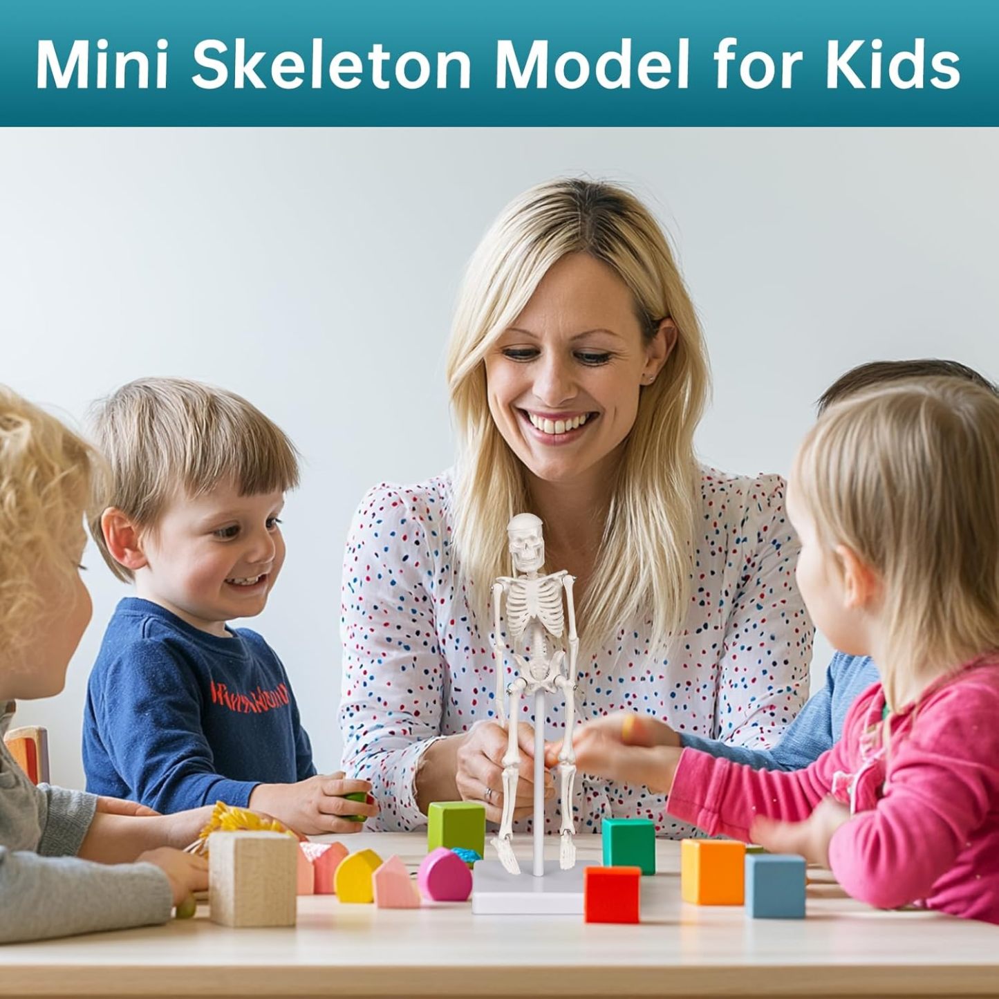 Mini Human Skeleton Anatomy Model (7.8" / 20 cm)