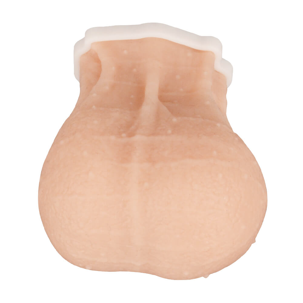 Mini Male TSE Model for Palpation Practice, Beige