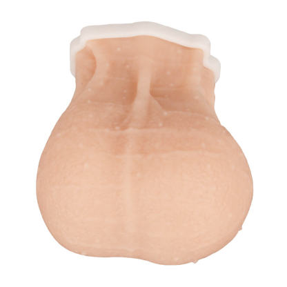 Mini Male TSE Model for Palpation Practice, Beige