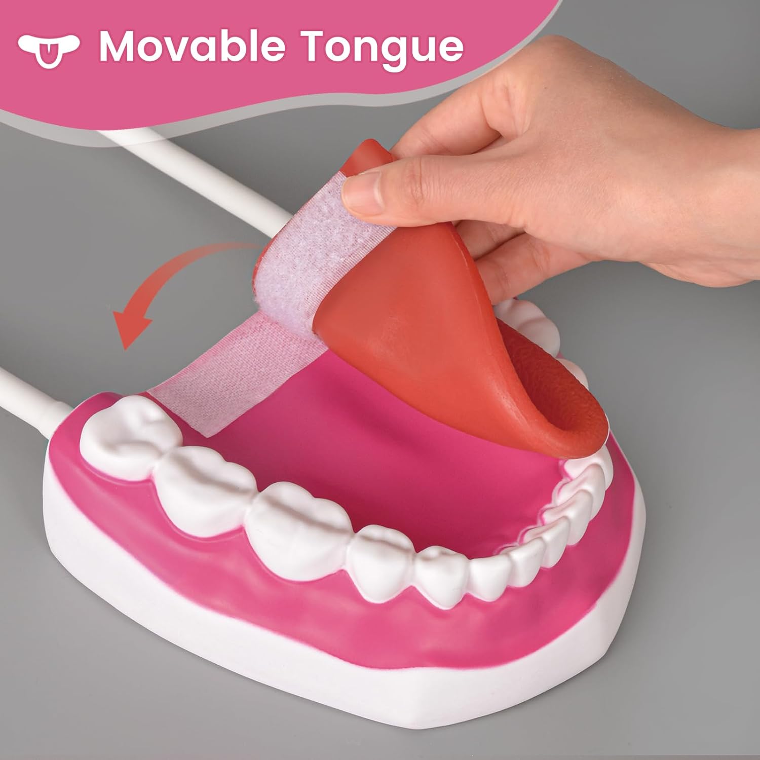 Mouth Model with Soft Silicone Tongue for Speech and Language Therapy