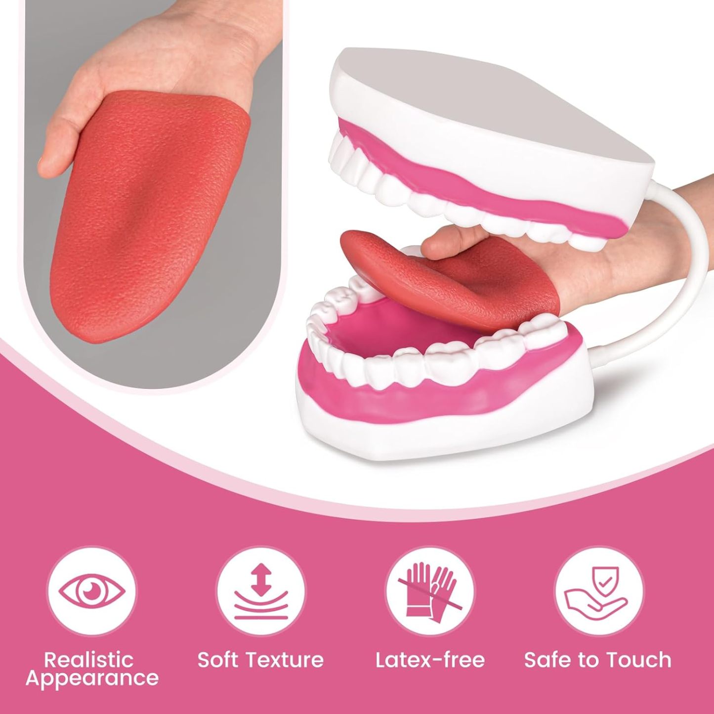 Mouth Model with Soft Silicone Tongue for Speech and Language Therapy