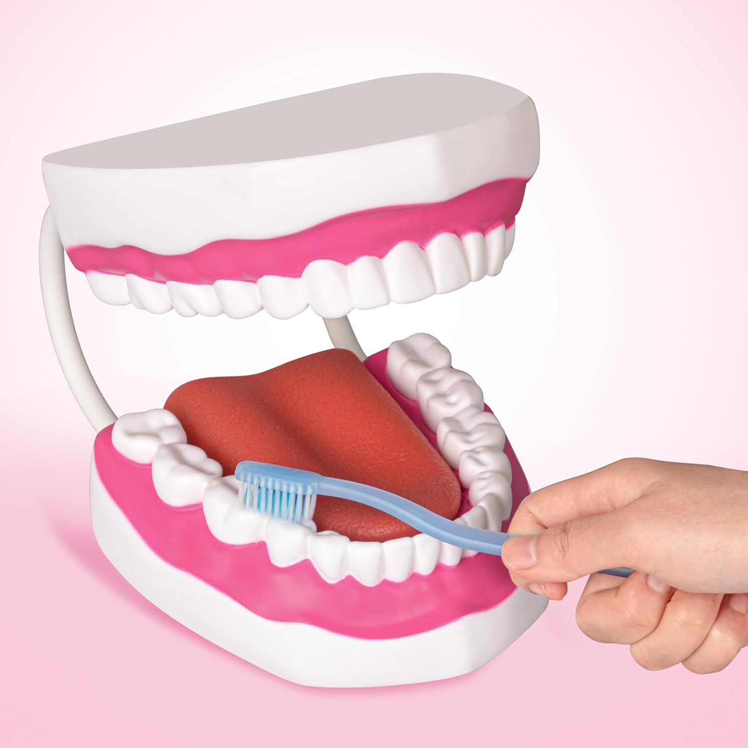 Mouth Model with Soft Silicone Tongue for Speech and Language Therapy