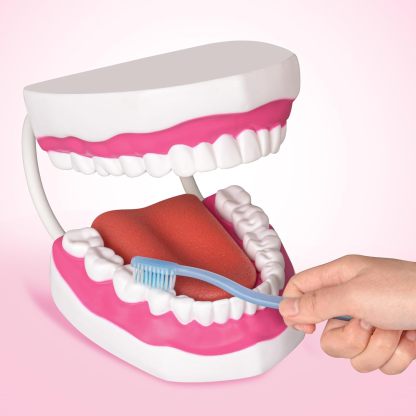 Mouth Model with Soft Silicone Tongue for Speech and Language Therapy