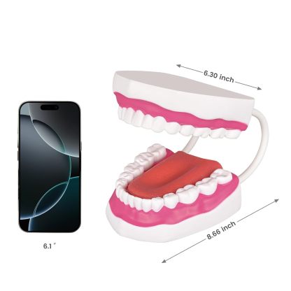 Mouth Model with Soft Silicone Tongue for Speech and Language Therapy