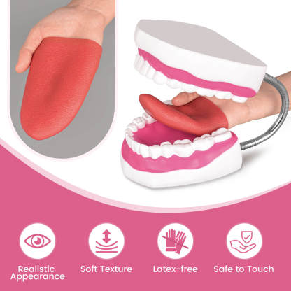 Mouth Model with Soft Silicone Tongue for Speech and Language Therapy