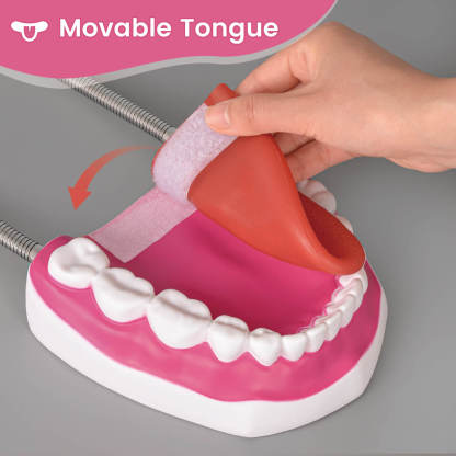 Mouth Model with Soft Silicone Tongue for Speech and Language Therapy