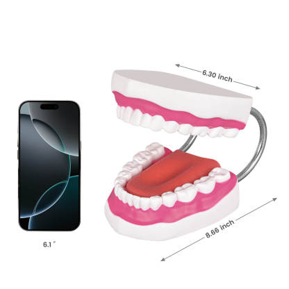 Mouth Model with Soft Silicone Tongue for Speech and Language Therapy