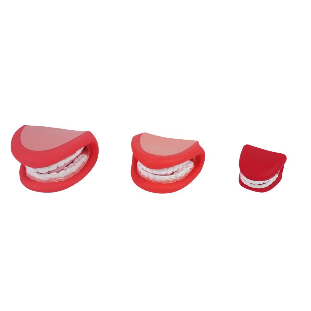 Multi-Size Mouth Puppets with Tongue for Speech Therapy