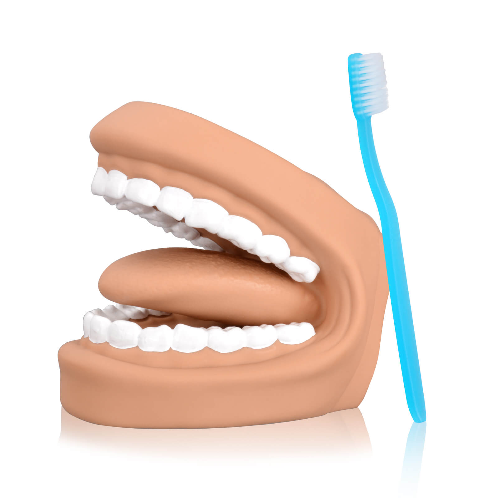 Mouth Puppet Dental Model for Kids Brushing Training