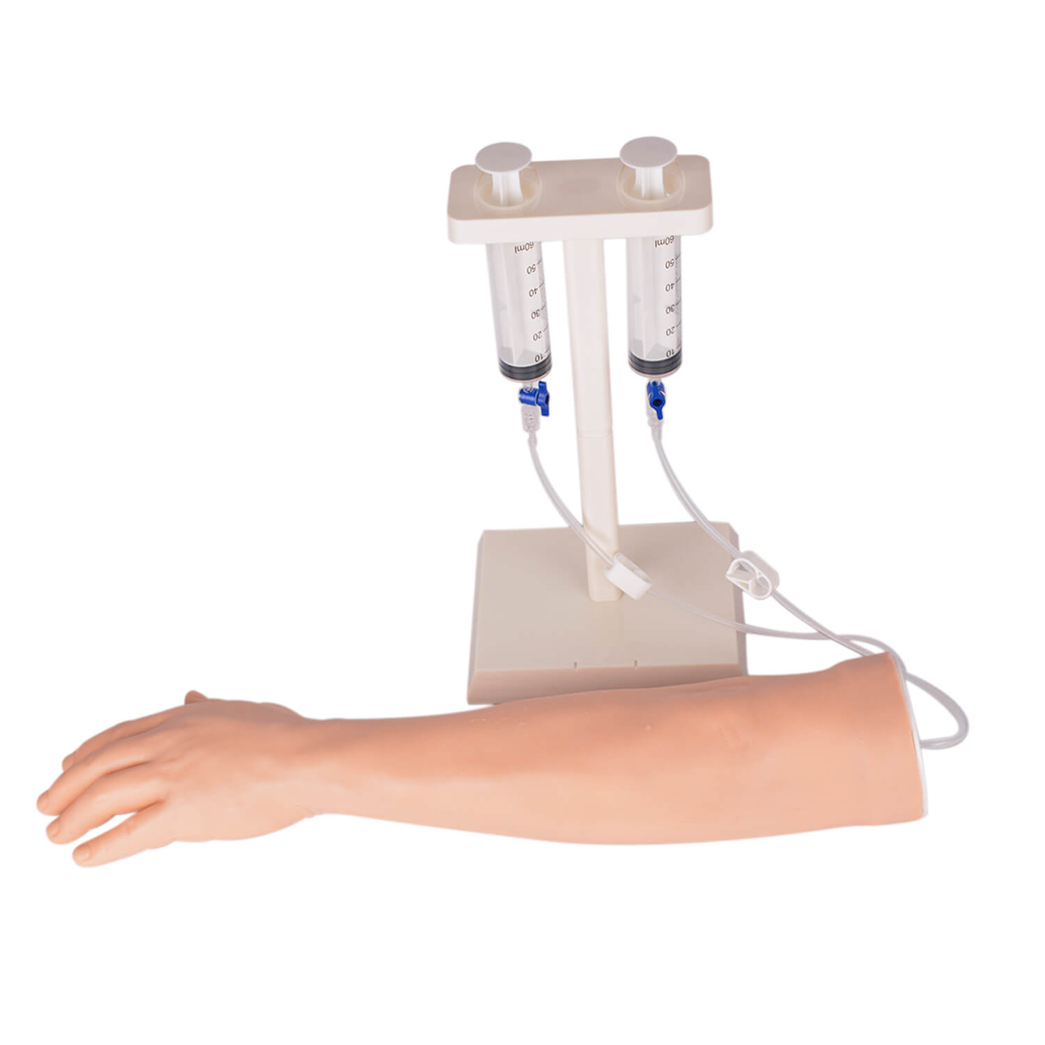 Adult Left Multi-Venous IV Practice Arm and Hand Kit with Plastic Stand