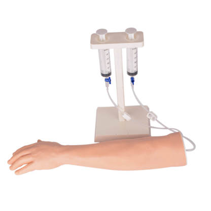 Adult Left Multi-Venous IV Practice Arm and Hand Kit with Plastic Stand