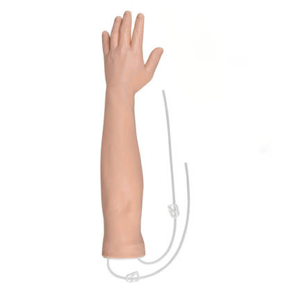 Adult Left Multi-Venous IV Practice Arm and Hand Kit with Plastic Stand