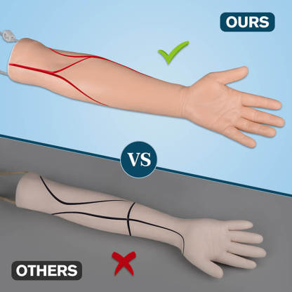 Adult Left Multi-Venous IV Practice Arm and Hand Kit with Plastic Stand