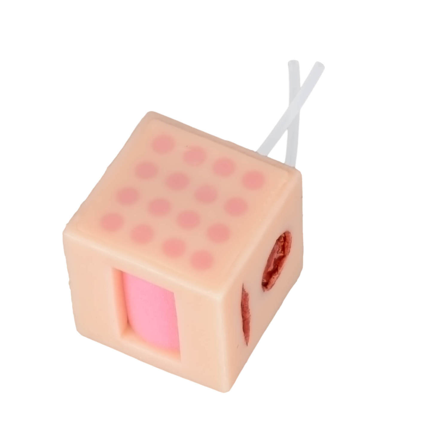 Ultrassist MultiCube with ID Injection Training Site