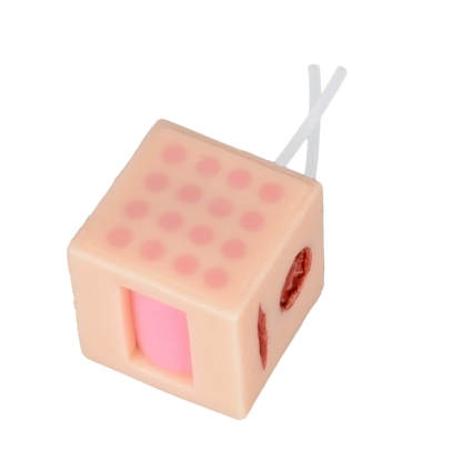 Ultrassist MultiCube with ID Injection Training Site