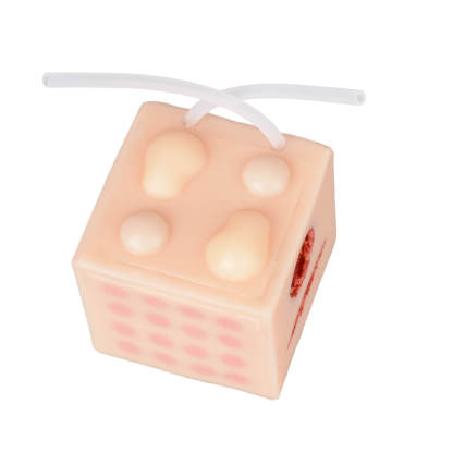 Ultrassist MultiCube Trainer with Cysts for Medical Training