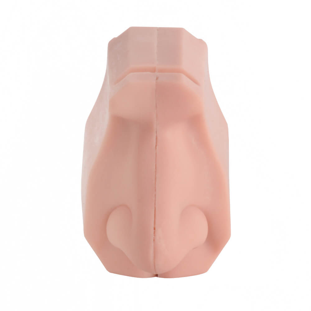 Nasal Cavity Anatomy Model for Surgical Simulation and Swab Practice