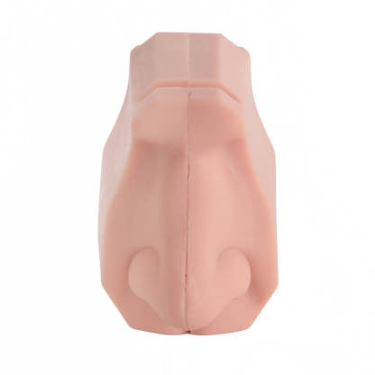 Nasal Cavity Anatomy Model for Surgical Simulation and Swab Practice