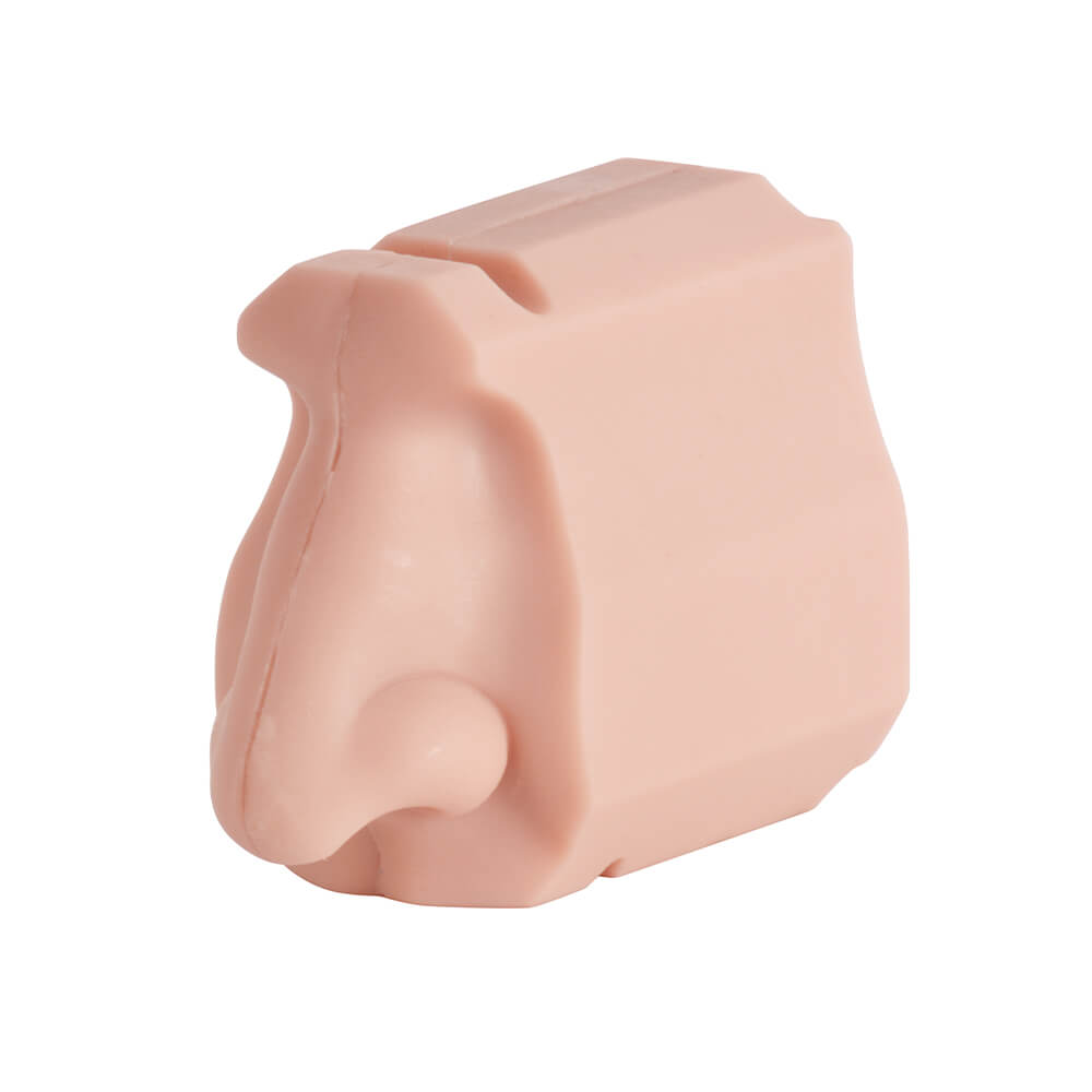 Nasal Cavity Anatomy Model for Surgical Simulation and Swab Practice