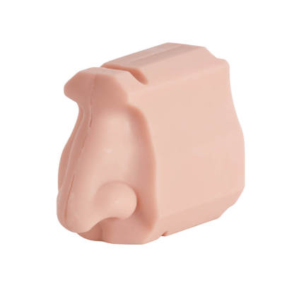 Nasal Cavity Anatomy Model for Surgical Simulation and Swab Practice