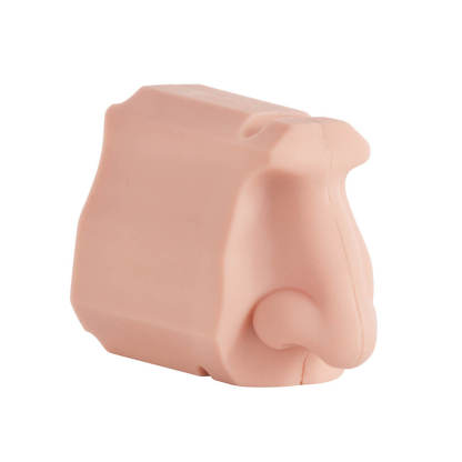 Nasal Cavity Anatomy Model for Surgical Simulation and Swab Practice