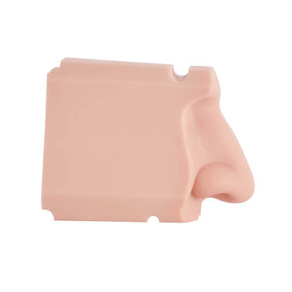 Nasal Cavity Anatomy Model for Surgical Simulation and Swab Practice