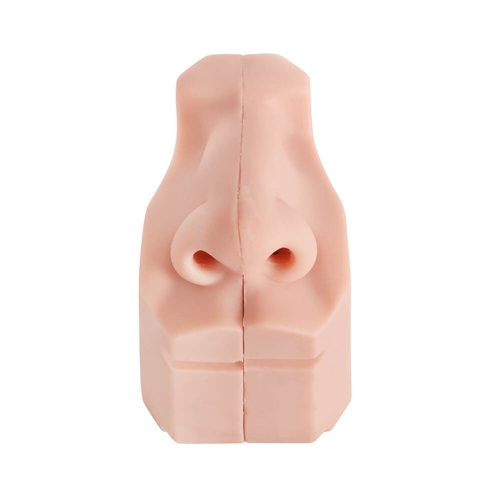 Nasal Cavity Anatomy Model for Surgical Simulation and Swab Practice