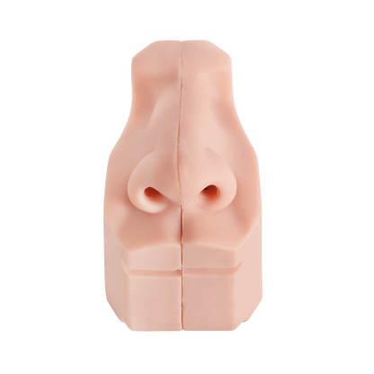 Nasal Cavity Anatomy Model for Surgical Simulation and Swab Practice