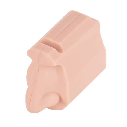 Nasal Cavity Anatomy Model for Surgical Simulation and Swab Practice
