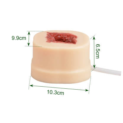 Ultrassist Open Wound Bleeding Control Trainer Size