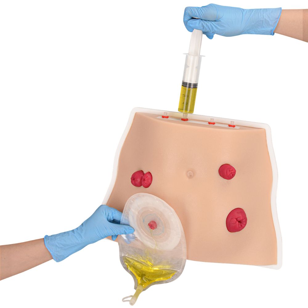 Tabletop Ostomy Care Simulator with 4 Stoma Types