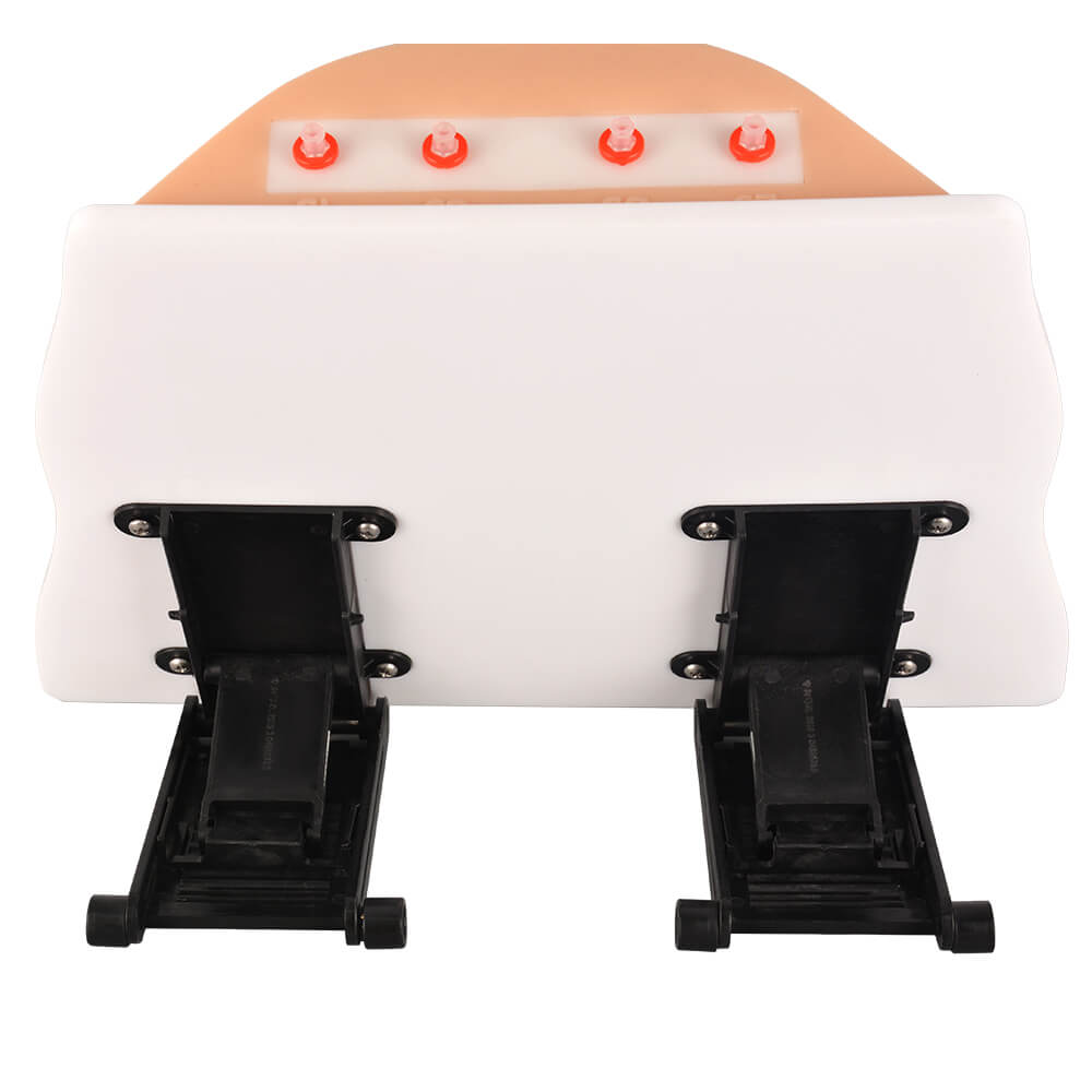 Ostomy Care Simulator with 4 Stoma Types & Display Bracket