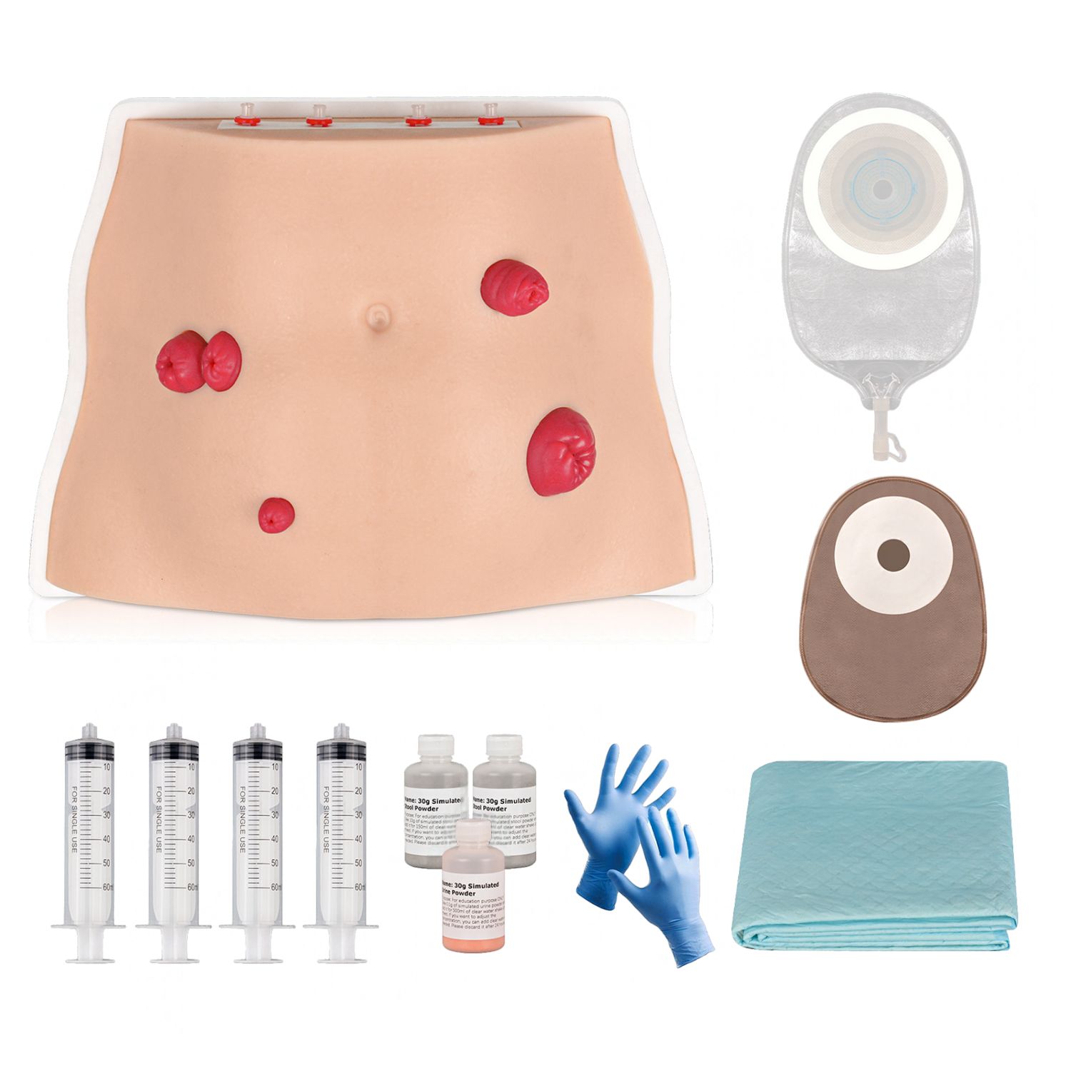 Tabletop Ostomy Care Simulator with 4 Stoma Types