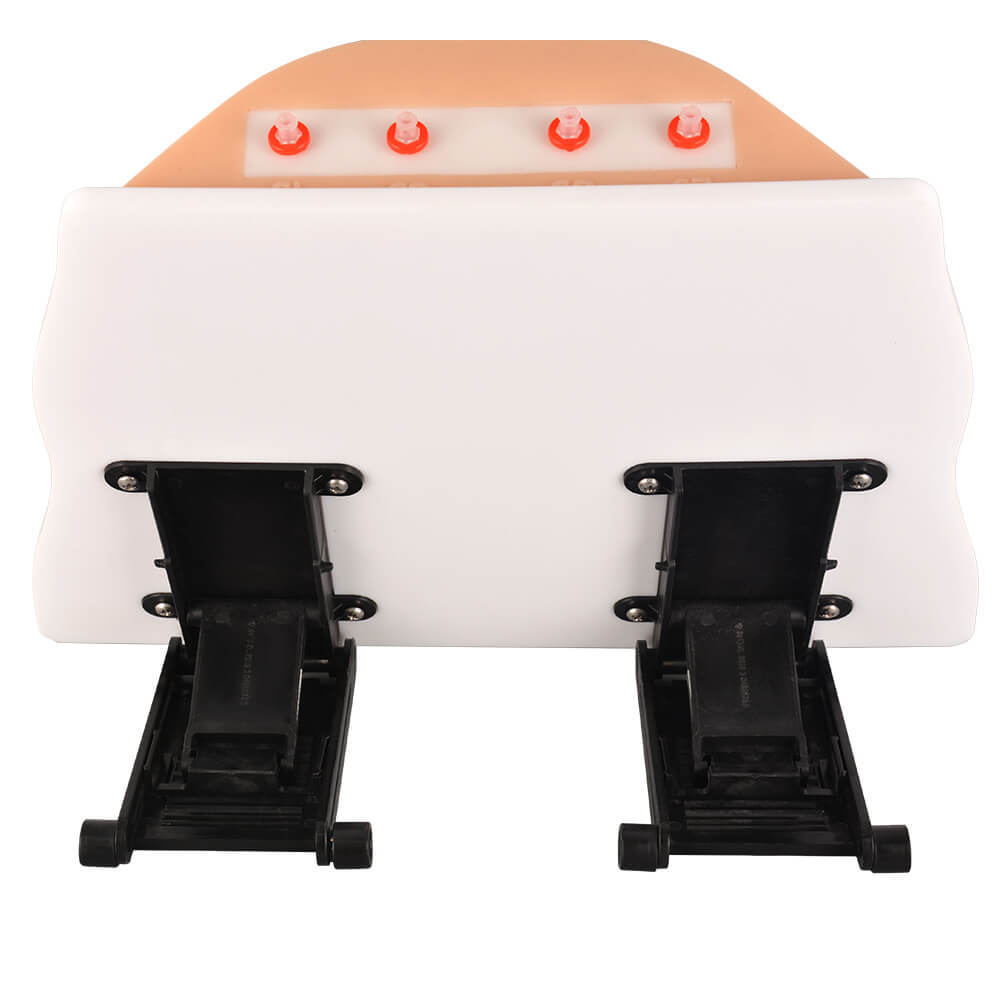 Ostomy Care Simulator with 4 Stoma Types & Display Bracket