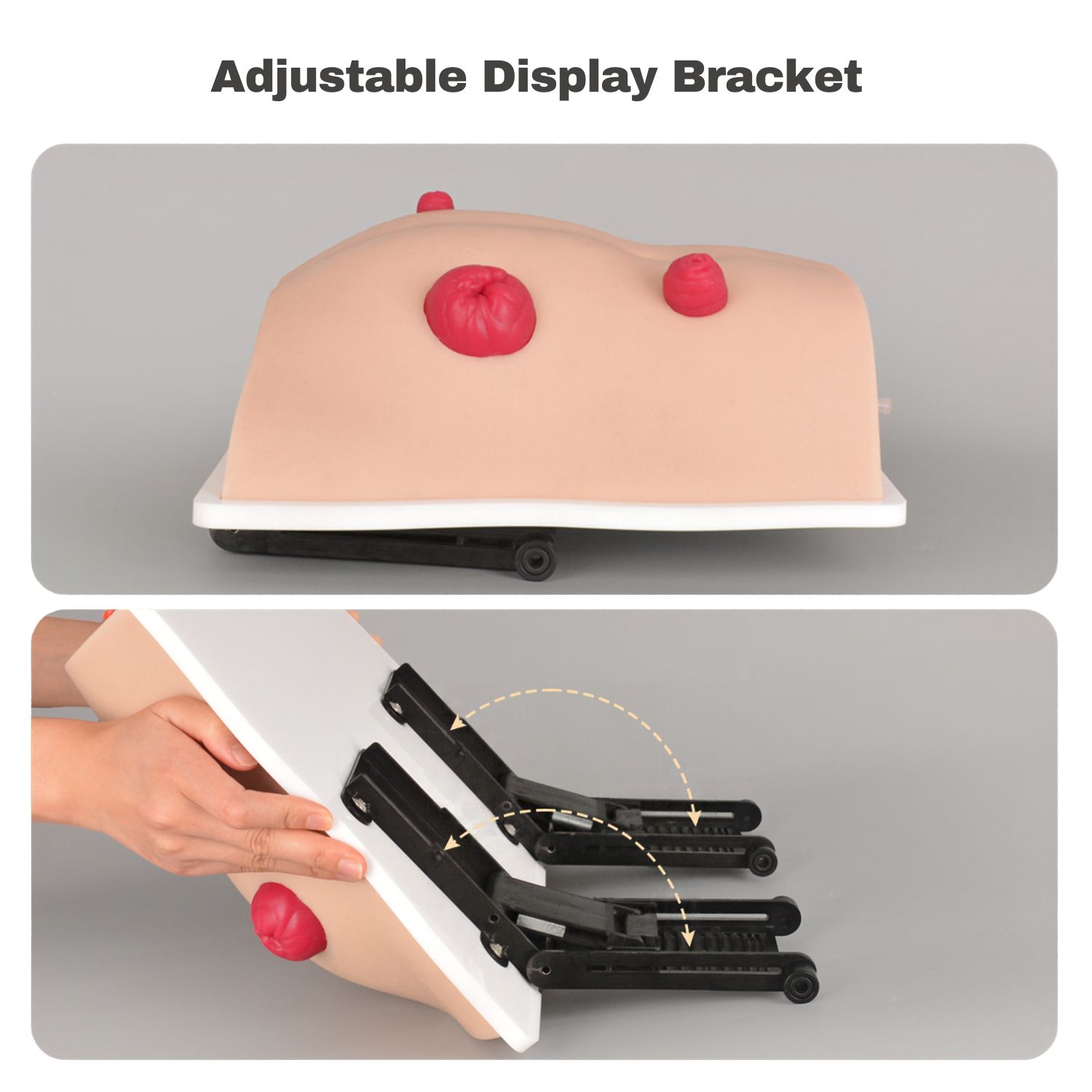 Tabletop Ostomy Care Simulator with 4 Stoma Types