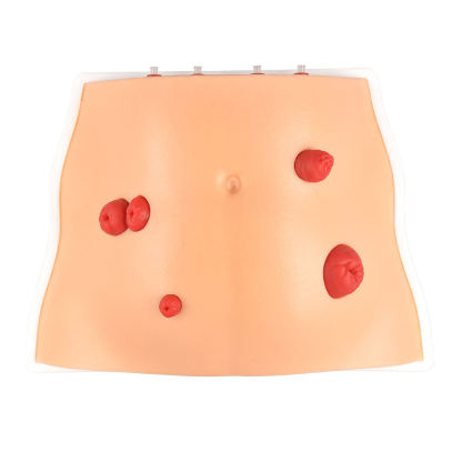 Ostomy Care Simulator with 4 Stoma Types & Display Bracket