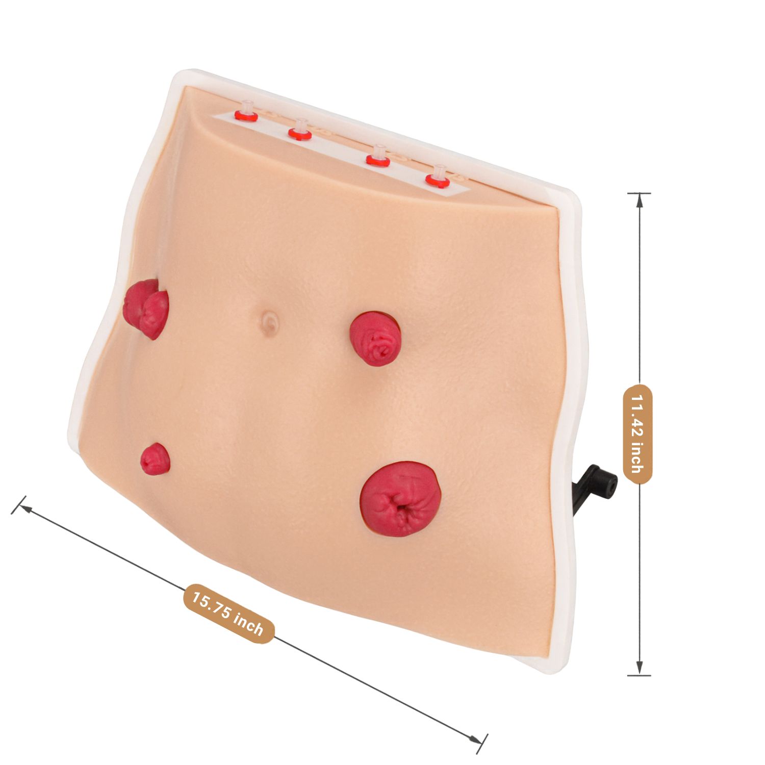 Tabletop Ostomy Care Simulator with 4 Stoma Types