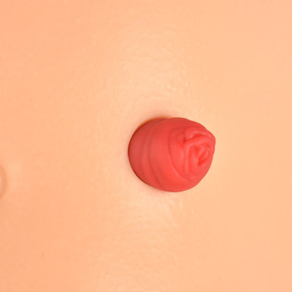 Ostomy Care Simulator with 4 Stoma Types & Display Bracket